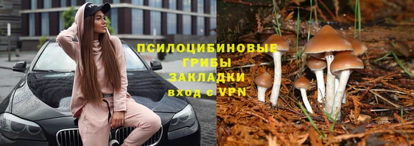 гидра Остров